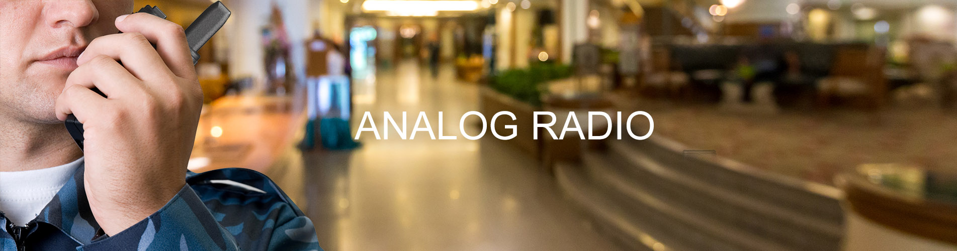 $this->product_detail['product_name']